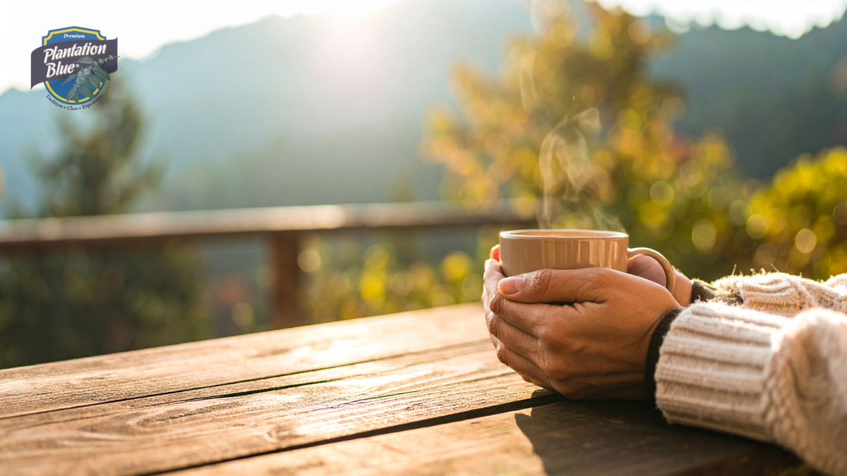 What Can Your Five Senses Tell You About Mountain Coffee Jamaica?