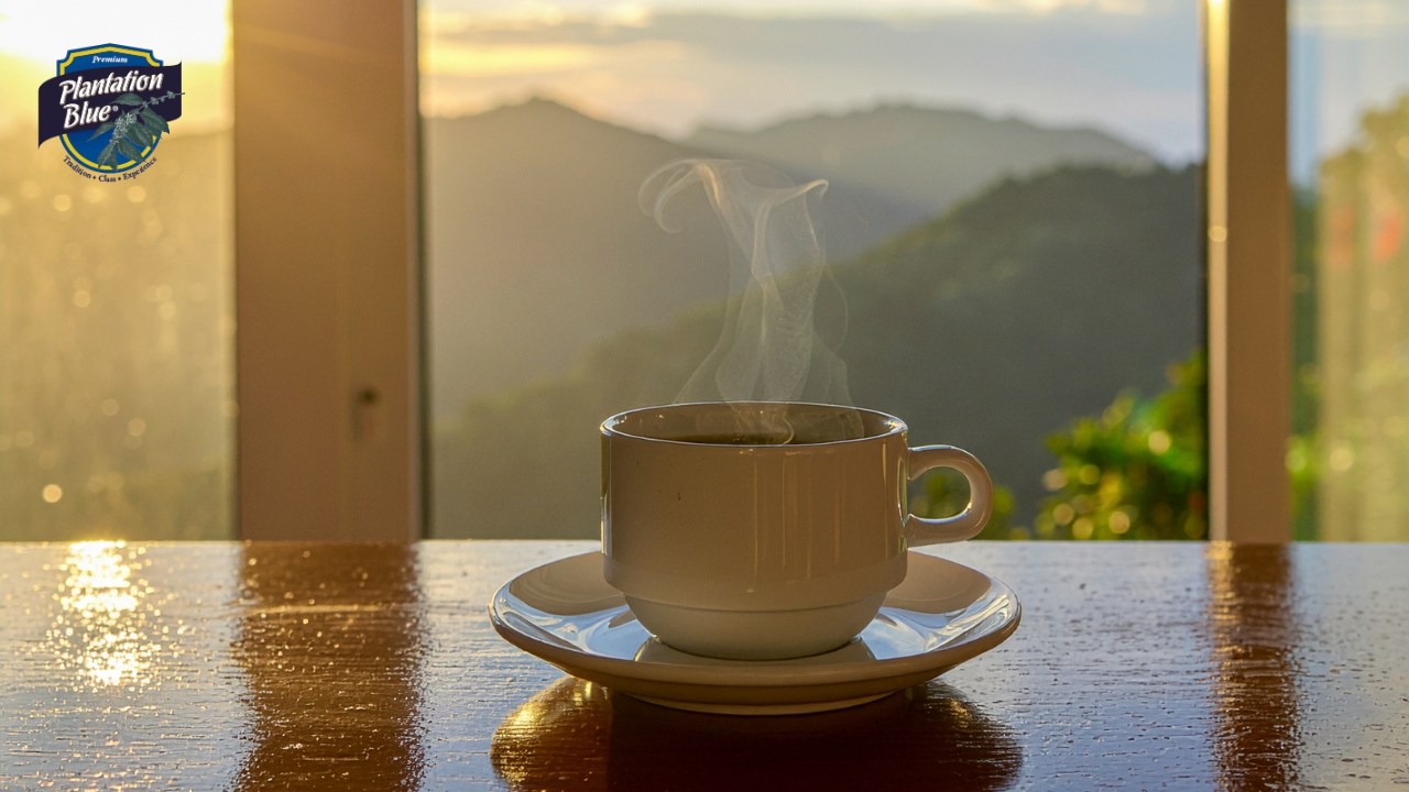 Jamaica Blue Mountain Coffee