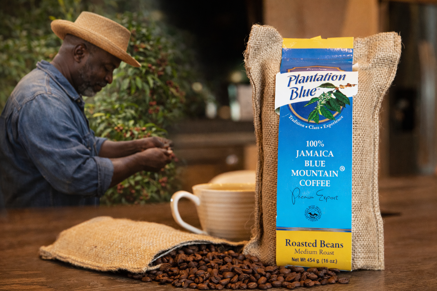 From the Blue Mountains to Your Cup: The Plantation Blue Journey