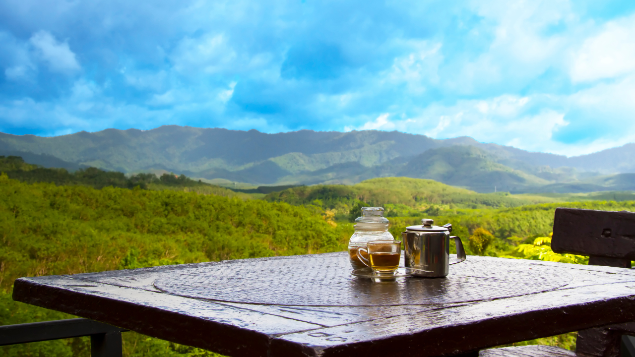 What is Blue Mountain Coffee | Perfect Father’s Day Brew