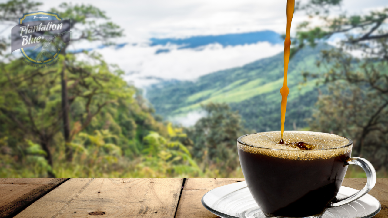 Jamaica Mountain Coffee | 8 Ways It Differs From Daily Coffee
