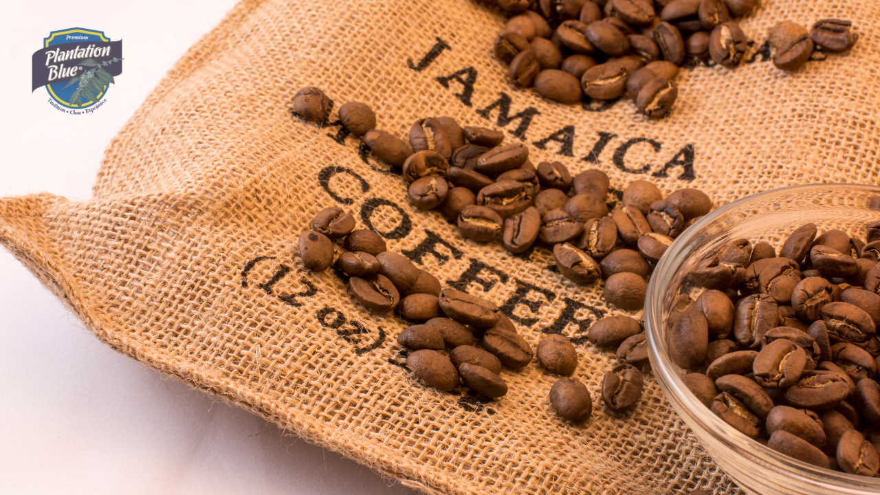 7 Things to Know About Jamaica Blue Mountain Coffee in 2026