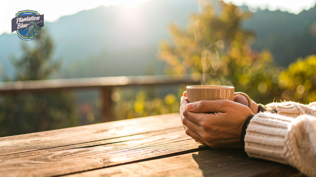 What Can Your Five Senses Tell You About Mountain Coffee Jamaica?