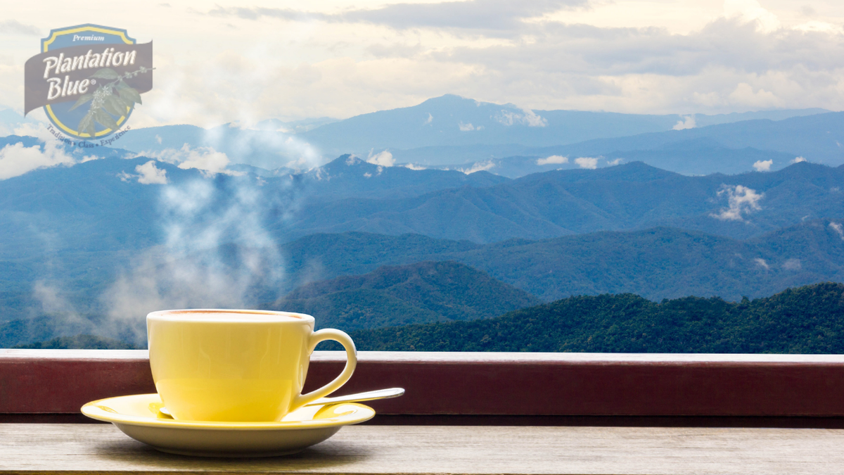 Jamaica Blue Mountain Coffee served in a cup overlooking the Blue Mountain landscape