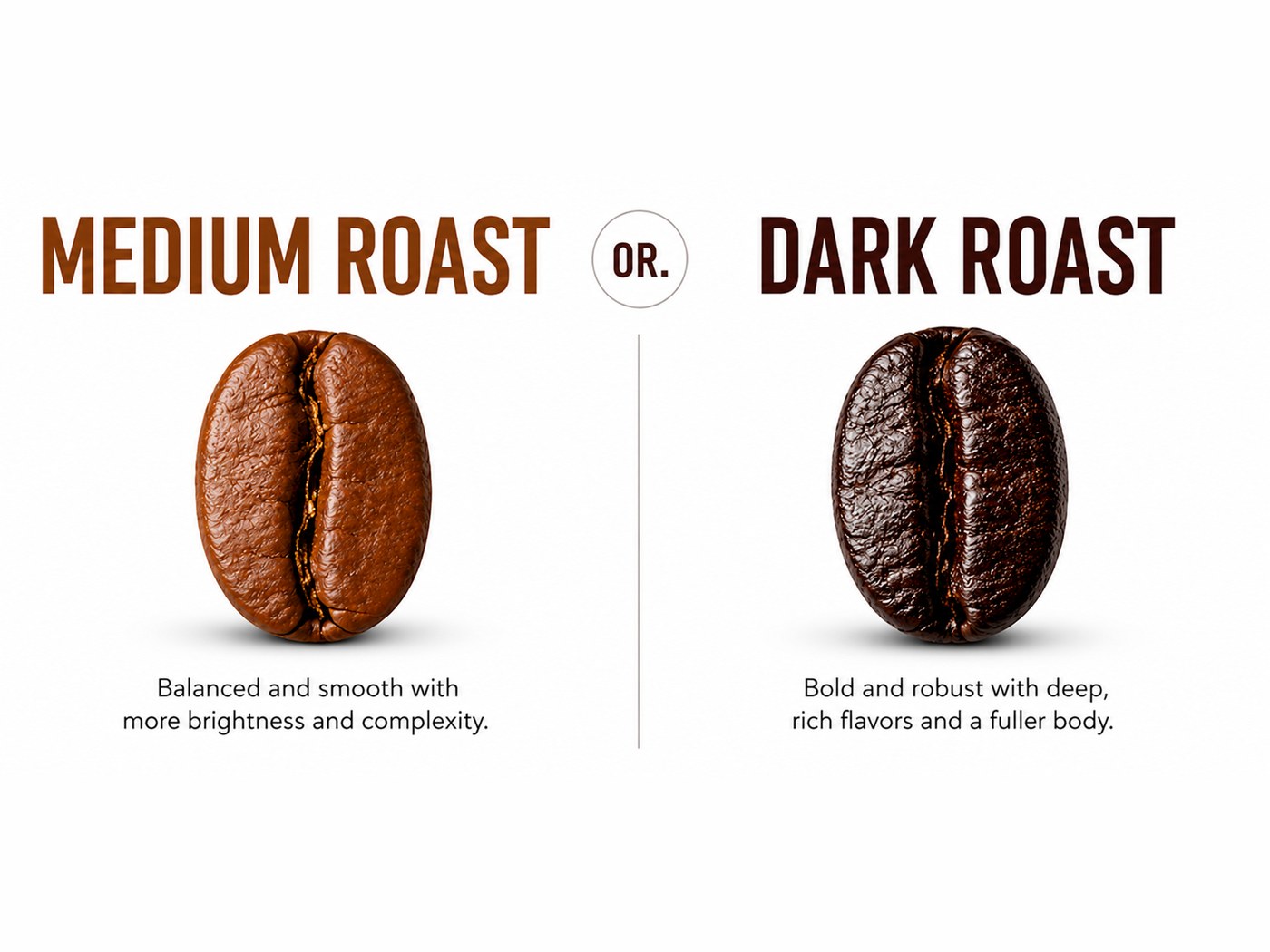 Medium roast bean, balanced and smooth, beside a dark roast bean, bold and robust